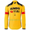 Maillot 2020 Team Jumbo-Visma Manches Longues N001